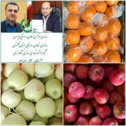 عملکرد مثبت تعاون روستایی گلستان در توزیع میوه شب عید سالجاری