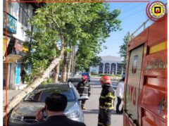 امدادرسانی آتش نشانان شهرداری گرگان در حادثه سقوط درخت بر روی خودرو در جانباز دوم