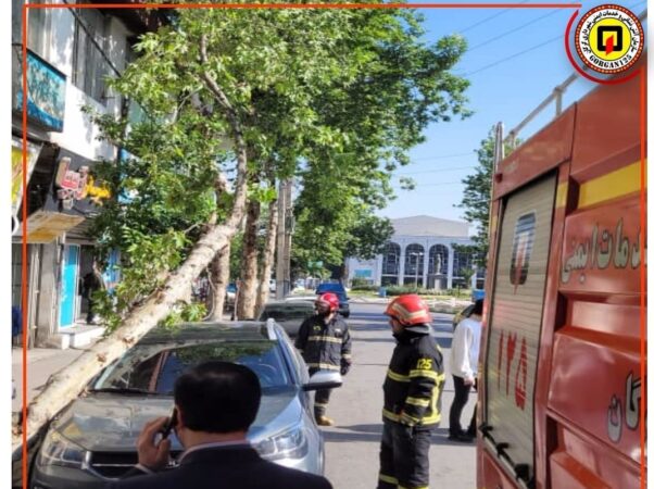 امدادرسانی آتش نشانان شهرداری گرگان در حادثه سقوط درخت بر روی خودرو در جانباز دوم