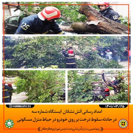 حادثه سقوط درخت بر روی خودرو در حیاط منزل مسکونی