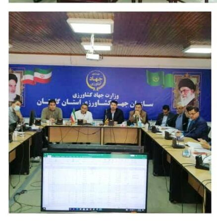 مدیر تعاون روستایی گلستان:  تولید بذور اصلاح و گواهی شده اولویت نخست شبکه تعاون روستایی استان گلستان