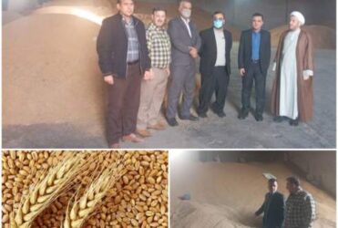 بازدیدمدیر تعاون روستایی گلستان از سایت تولید بذر شرق استان