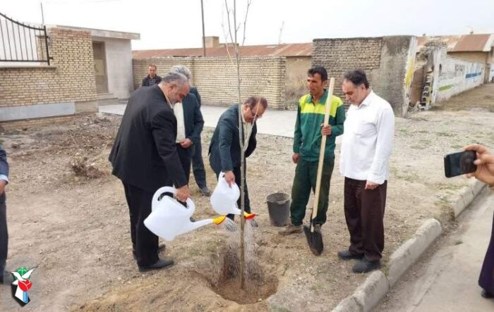 تعداد ۵۱۸ نهال به یاد شهدا شهرستان گنبد کاووس کاشته شد