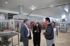 بر حفظ و استمرار نظام استاندارد و کیفیت تاکید کرد