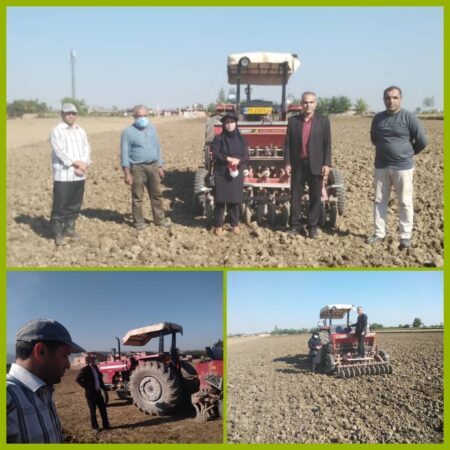 کشت پاییزه کلزا در شهرستان گرگان