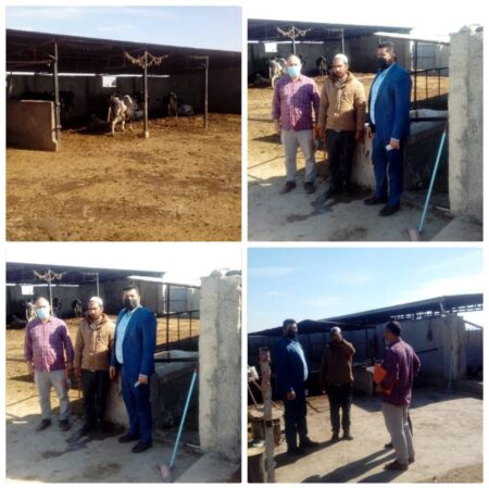 بازدید و پایش دامداری های شهرستان گمیشان