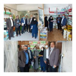 بازدید از فروشگاه های مجاز سموم کشاورزی در سطح شهرستان علی آباد کتول