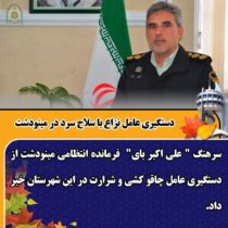 دستگیری عامل نزاع با سلاح سرد در مینودشت