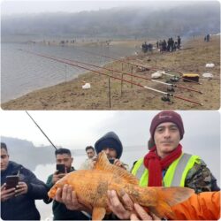 برگزاری جشنواره ماهیگیری با قلاب در شهرستان علی آبادکتول