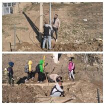 عملیات نوسازی شبکه مخابرات در روستای تیغ زمین مینودشت