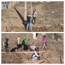 عملیات نوسازی شبکه مخابرات در روستای تیغ زمین مینودشت
