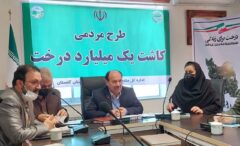 کاشت درخت و توسعه جنگل امروزه یک الزام جهانی است