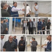 بازدیدمشترک مدیر کل دامپزشکی استان گلستان و  مدیر کل اداره نظارت سازمان دامپزشکی کشور از کشتارگاه صنعتی در حال تاسیس پر طلای(چیلای) مینودشت