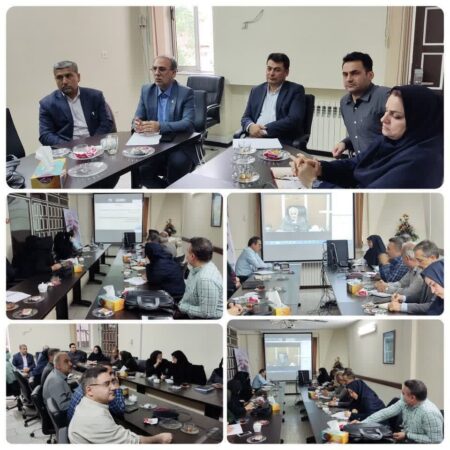 وبینار وزارتی برنامه پزشکی خانواده و نظام ارجاع در سالن جلسات مرکز بهداشت استان