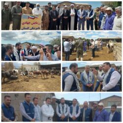 جهاد دامپزشکی ، جهاد محرومیت زدایی