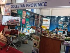 بررسی راهکارهای تقویت زنجیره های ارزش در بخش صنعت استان گلستان