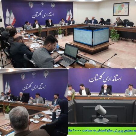 اولویت واگذاری اراضی پرورش میگو با افراد و شرکت‌های بومی است