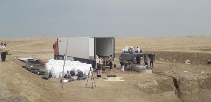 آغاز ذخیره سازی بچه میگو در مزارع گمیشان