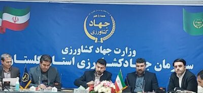 استان گلستان بعد از مازندران دومین تولید کننده گوشت مرغ در کشور