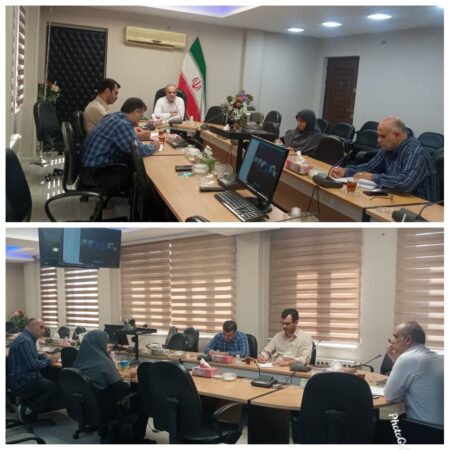 دوره آموزشی آشنایی با نمایندگان قانونی محجورین در زمان ارائه خدمات بصورت وبیناری