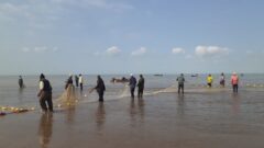 آغاز فصل صید در آبهای استان گلستان