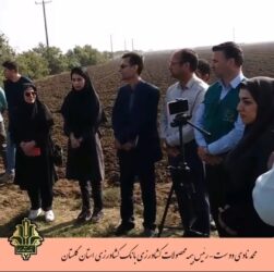 کارگاه آموزشی ترویجی کشت کلزا در شهرستان بندر ترکمن برگزار گردید