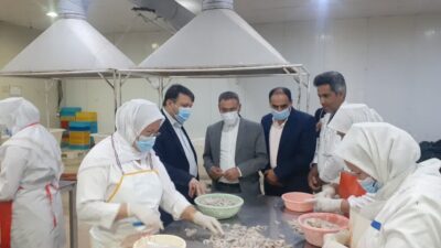 رئیس مرکز مطالعات راهبردی و تحقیقات مجلس شورای اسلامی از مجتمع پرورش میگوی گمیشان بازدید کرد