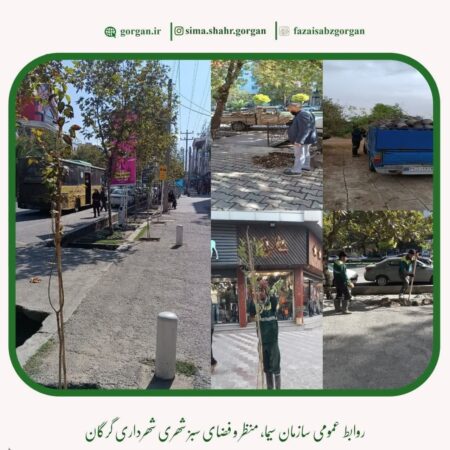 بازپیرایی درختان خیابان ولیعصر (عج) گرگان
