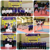 پایان رقابت های تکواندو کشوری خردسالان منطقه سه کشور با معرفی تیم های برتر در استان گلستان