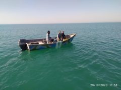 صیادان غیر مجاز در خلیج گرگان دستگیر شدند