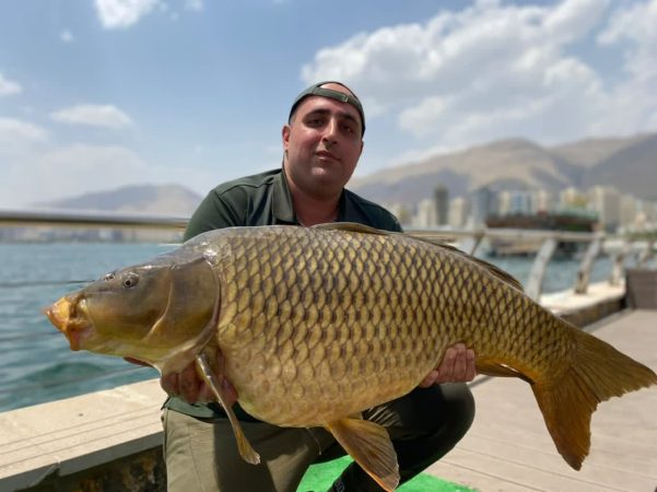 کسب مقام نخست ماهیگیری کشور در سال جاری توسط تیم کاسپین کارپ گلستان