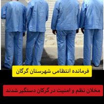 مخلان نظم و امنیت در گرگان دستگیر شدند