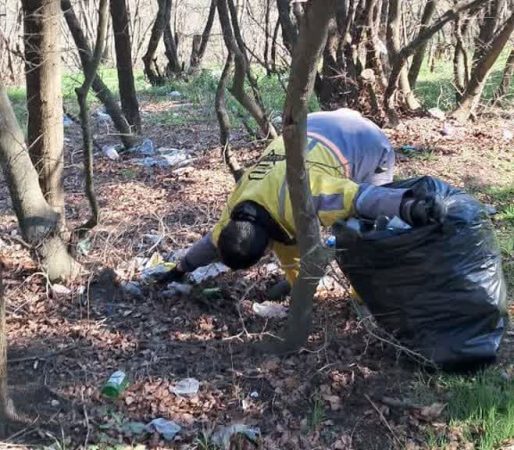 محور جنگلی هزارپیچ از زباله پاکسازی شد