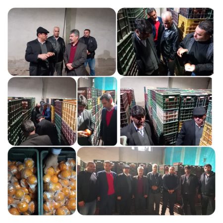 بازدید دیو سالار و امامیان از سازمان مرکزی تعاون روستایی ایران از محل ذخیره سازی و میوه نوروز ۱۴۰۳