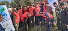 غرس ۲ هزار نهال مثمر توسط مددجویان زندان های گلستان؛ استفاده از ظرفیت های احکام جایگزین حبس برای افزایش سرانه فضای سبز استان