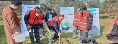 غرس۲۰۰ اصله نهال در باغ زیتون بنیاد تعاون زندانیان استان گلستان