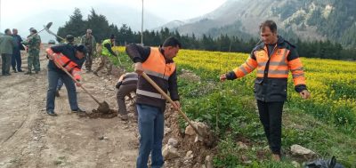 کاشت نهال و پاکسازی حریم راه های گلستان انجام شد