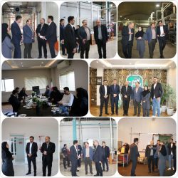 بازدید مدیرکل استاندارد گلستان از واحدهای تولیدی بهاران پیمان گلستان