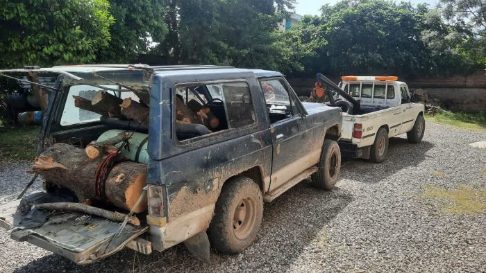 کشف و ضبط چوب آلات قاچاق از شهرستان مجاور