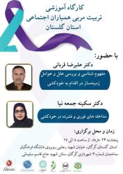 کارگاه آموزشی تربیت مربی همیاران اجتماعی با محوریت خودکشی برگزار می شود