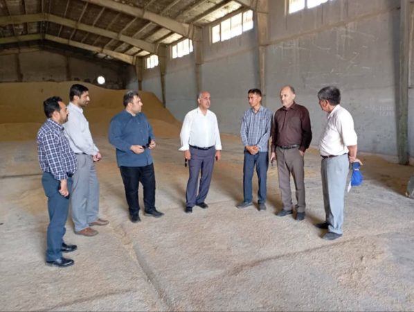 بازدید معاون بازرگانی اداره کل غله و خدمات بازرگانی به همراه مدیر تعاون روستایی استان از مرکز خرید تضمینی گندم تعاونی روستایی گلیداغ