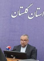 در سال گذشته به ۵۷۷ فقره پرونده رسیدگی شد