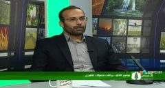 کلیه مطالبات کلزاکاران استان گلستان پرداخت شد