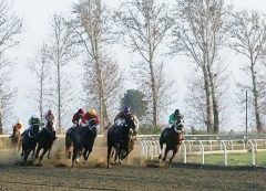 هفته پنجم کورس پاییزه گنبدکاووس پنج‌شنبه و جمعه برگزار می‌شود