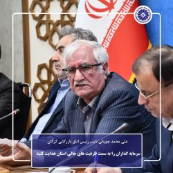 سرمایه گذاران را به سمت ظرفیت های خالی استان هدایت کنید