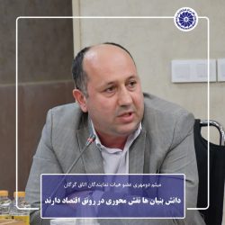 دانش بنیان ها نقش محوری در رونق اقتصاد دارند