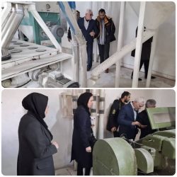 طرح درجه بندی واحدهای تولیدی آرد در گلستان آغاز شد