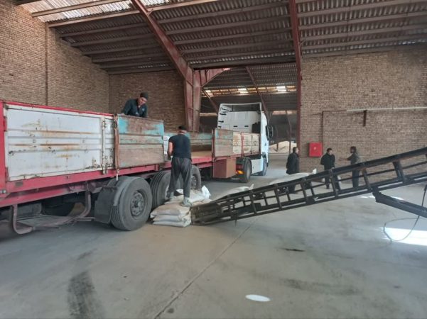 کود سوپر فسفات ساده گرانوله مورد نیاز برای کشاورزان گلستانی از تولیدکنندگان داخلی کشور تامین و توزیع گردید