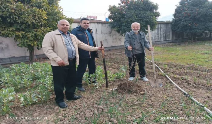 مشارکت کارکنان مخابرات منطقه گلستان در کاشت نهال در روز درختکاری