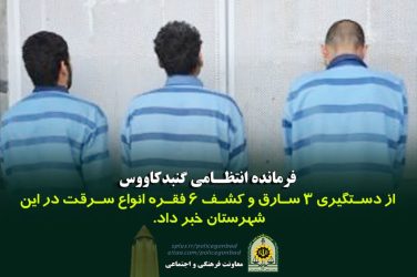 دستگیری سارقان واحدهای مسکونی در گنبدکاووس
